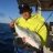 jigged trevally